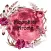 MoonStar Aroma