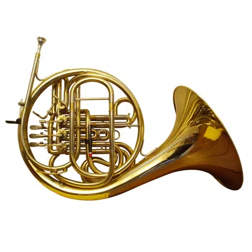 Brass Trainer (Trumpet,Trombone,Tuba,French Horn) Brass Trainer (Trumpet,Trombone,Tuba,French Horn)