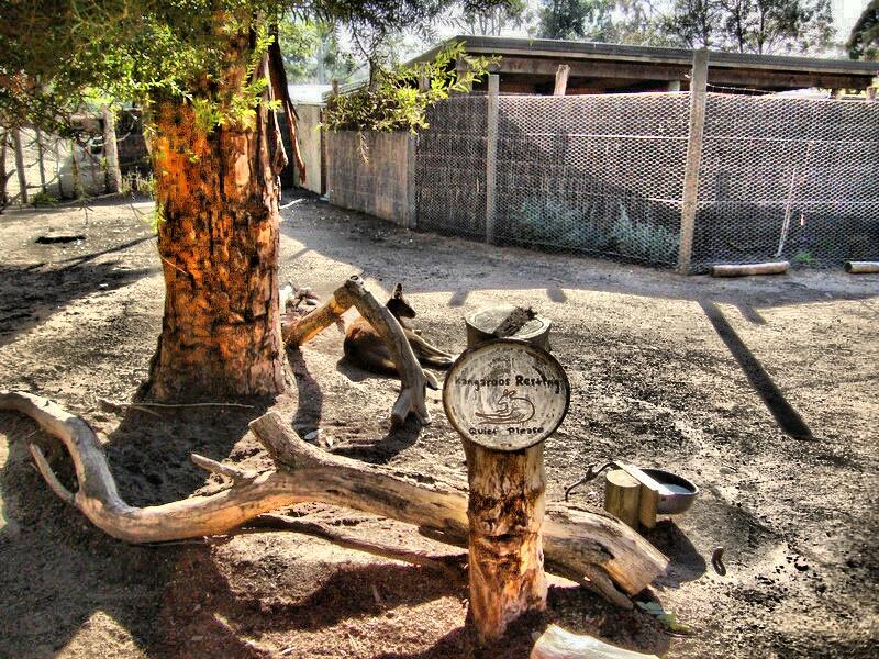 Ultimate HDR Camera Screenshots