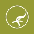 BTO Ringing & NRS Info