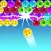 Bubble Paradise - The Bubble