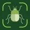 Bug Identifier: Insect, Spider