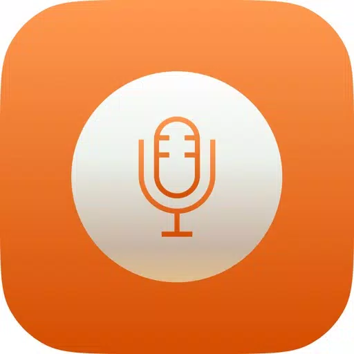 Voice Notes Diary Voice Notes Diary