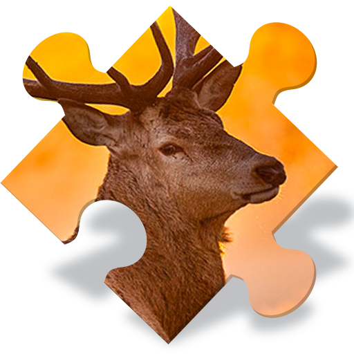 Animals Jigsaw Puzzles Free