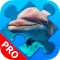 Dolphin Jigsaw Puzzles beautiful Scenery. Premium