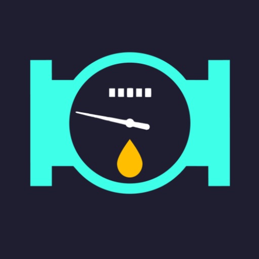 Fuel rate monitor Fuel rate monitor