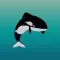 Whale Wiggle