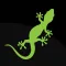 NEWT Mobile