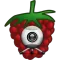 RPi Camera Viewer