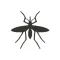 Squish a Mosquito