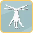 The ADWC Anatomy Quiz