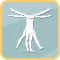 The ADWC Anatomy Quiz