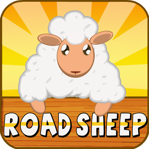 Road Sheep Road Sheep