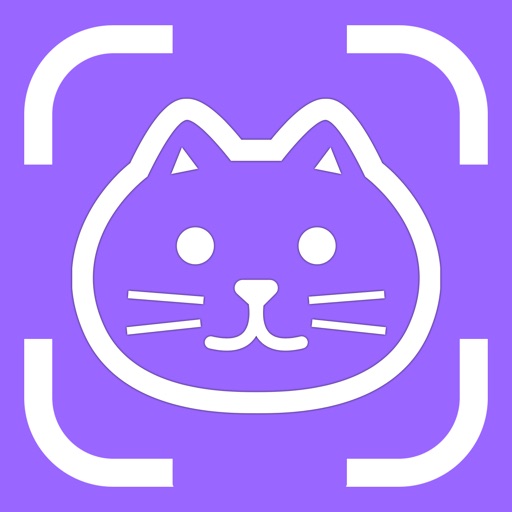 Cat Breed Identifier Pet Scan Cat Breed Identifier Pet Scan