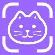 Cat Breed Identifier Pet Scan