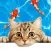 Cat Games for Cats, Pets