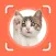 Cat Identifier - Cat Scanner