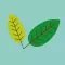 Inspira para padres y madres: salud infantil y medio ambiente