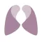 Lung Cancer Foundation