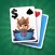 Solitaire Win !