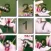 slide puzzle-challenge