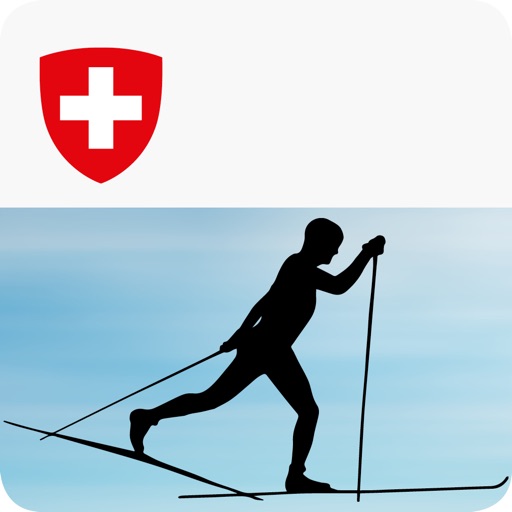 Cross-country skiing technique Cross-country skiing technique