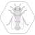 Bienenpfad