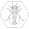 Bienenpfad