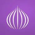 TOR Browser: OrNET Onion + VPN