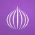 TOR Browser: OrNET Onion + VPN