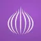 TOR Browser: OrNET Onion + VPN
