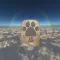 Pet Heaven