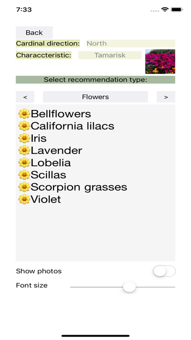 Garden Feng-Shui Screenshots
