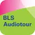 BLS Tour Lake Brienz