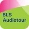 BLS Tour Lake Brienz