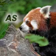 Nature - Asia