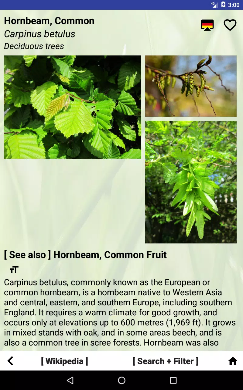 Nature - Asia Screenshots