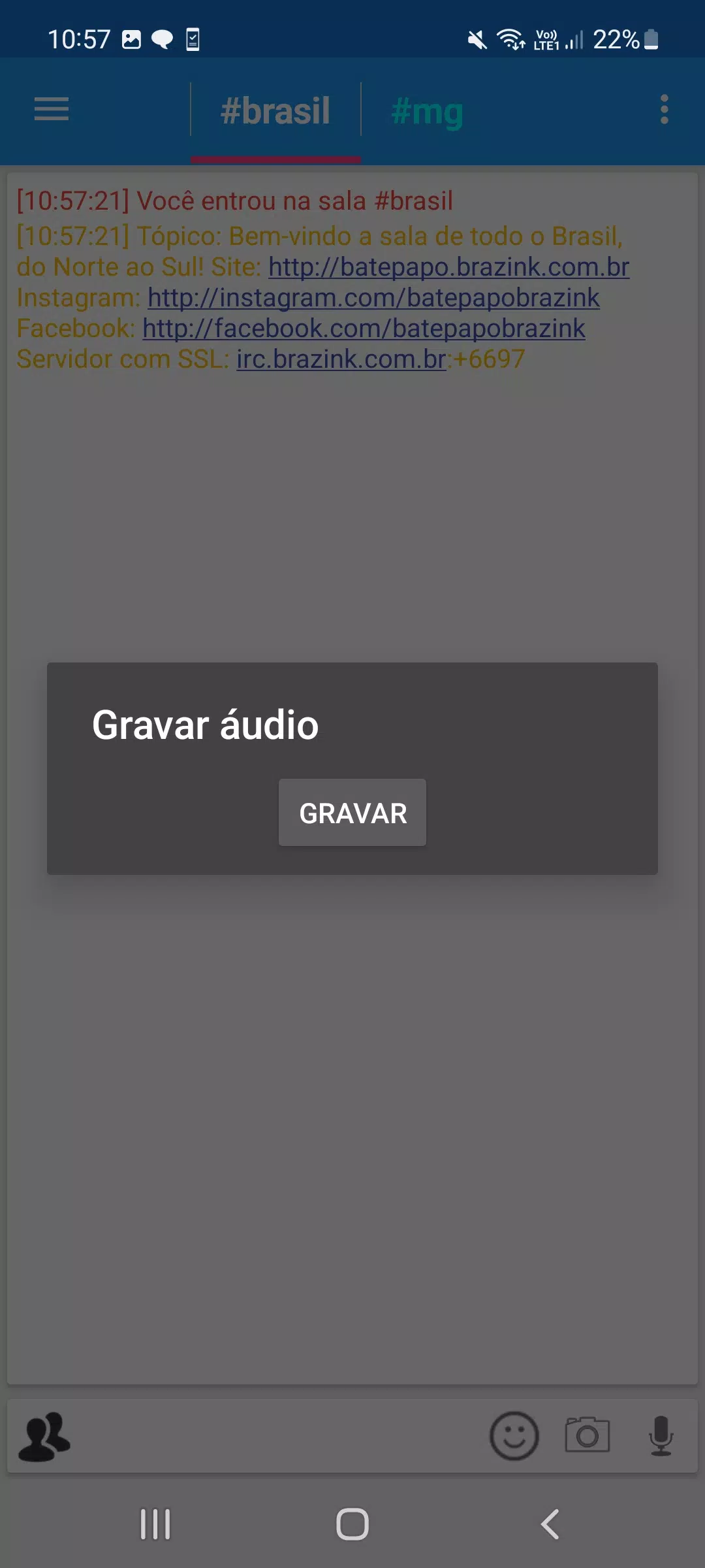 Brazink Chat Screenshots