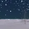 Snow Forest - Above the Cloud