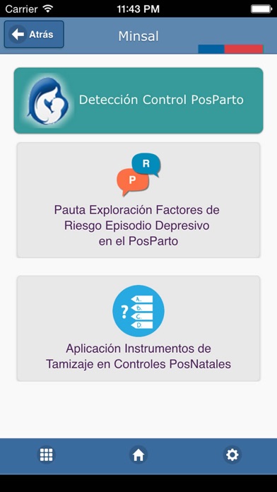 Detección Depresión Embarazo y Posparto Screenshots