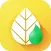 Essential Oils + Young Living