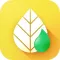 Essential Oils + Young Living