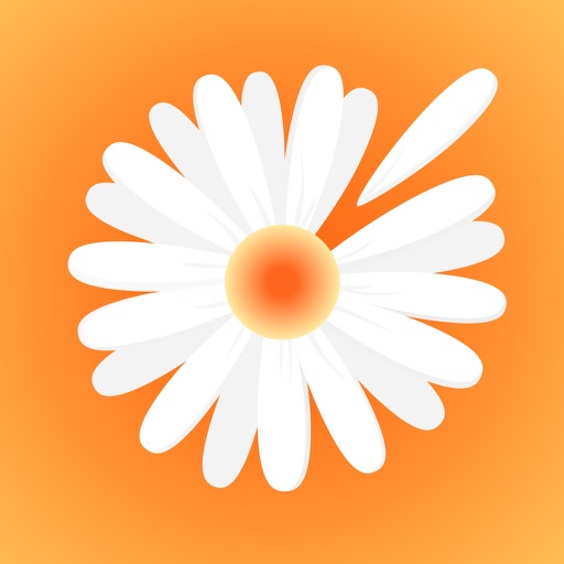 Ramonka – Your Life is Bright! Ramonka – Your Life is Bright!