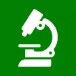 Block Adjustment Calculator