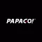 PAPAGO DVR