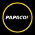 Papago记录仪