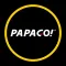Papago记录仪