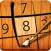 Sudoku World 2013