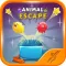 动物大逃亡 - Animal Escape