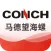 CONCH-BECS